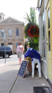 Obligatory cow picture